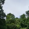 reneeschwarz26 - @reneeschwarz26 - TikTok