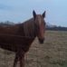 Renee Scribner - Facebook