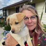 Renee Murphy Shaffer - @reneelshaffer - Instagram