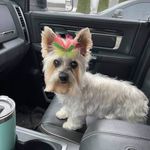 Renee Shaffer - @renee2052 - Instagram