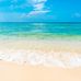 Renee Schanck - Facebook
