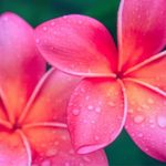Renee Shipman - @shipmanr1001 - Instagram