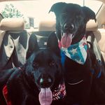 Renee Leia Simoneau - @renee.simoneau.3 - Instagram