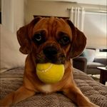 Renee Simoneau - @nay_nay_sim - Instagram