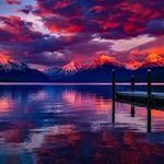 Renee Singleton - @reneern.singleton.5 - Instagram