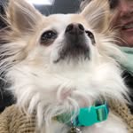 Renee Slade - @reneeslade2 - Instagram