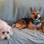 Renee Slagle - @slaglerenee - Instagram