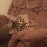 Renee Slater - @renee.slater.961 - Instagram
