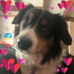 Renee Smart - @allies_explorations - Instagram