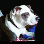 Chelle Renee Snider - @mechelle.snider.5 - Instagram