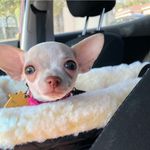Renee Snider - @princess_peanut_of_parkour - Instagram