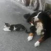 Rene Soder - @rene.soder1 - TikTok