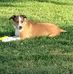 Renea Soeder - Facebook