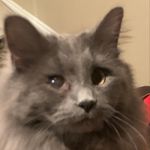 Bailey Renee Spangler - @bailey_renee_spangler - Instagram