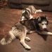 Renee Spaulding Hunter - Facebook