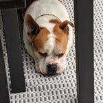 Renee Staton - @hitch248 - Instagram