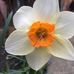 Renee Steinberg - Facebook