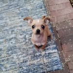 Renee Stepp - @reneestepp120 - Instagram