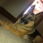 Madyson Renee Stiles - @madysonrenees - Instagram