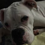 Renee Stover - @stover7551 - Instagram