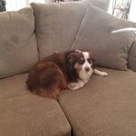 Renee Stover - @renee.stover.5249 - Instagram