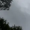 Renee Sutherland - @aesthetic_.._08 - TikTok