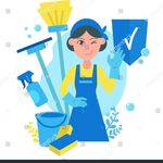 Renee Premier Cleaning Services - @reneeswain47 - Instagram