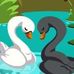 Rene Swift - Facebook
