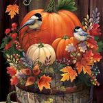 Renee Swift - @swift_mamaw - Instagram