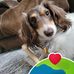 Renee Swift - Facebook