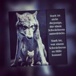 Rene Theis - @theis.rene - Instagram