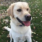 Renee Theis - @renee.theis - Instagram
