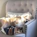 Renee Pitsch Thelen - Facebook