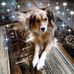 Renee Thelen - Facebook
