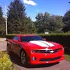 Renee Thurber - @renee.thurber - TikTok