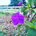 Hollie Renee Tiller - @holliereneetiller8610 - Instagram