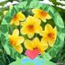 Renee Tomlin Smale - Facebook