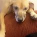 Renee Tomlinson - Facebook