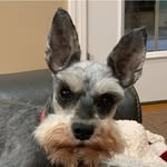 Rene Trudeau - @rene.trudeau.3 - Instagram