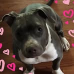 Tonya Renee Tyree - Facebook