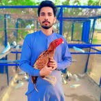 Rana Waqar - Facebook