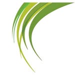 Renee Wall - @wallplanningenviroconsulting - Instagram