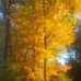 Renee Wenger - Facebook