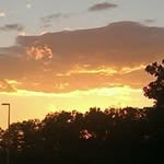 Renee Wenger - @wengerrl - Instagram