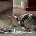 Renee Werner - Facebook