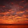 Renee Windsor - @annie983ee3f9 - TikTok