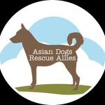 Renee Windsor-White - @asiandogsrescueallies - Instagram