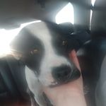 Crystal Renee Winfield - @winfield6124 - Instagram
