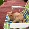 Rene Wisner - @renewisner - TikTok