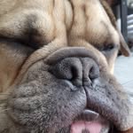 Renee Wittman - @wittman_renee - Instagram